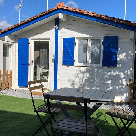 L'Arcachonaise - Studio Cosy Avec Jardin A Bègles Eksteriør billede
